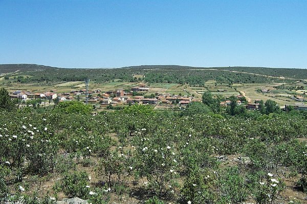 Imagen de la historia de Ferreruela de Tábara