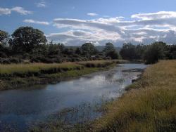 arroyo de sesnandez